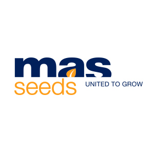 MAS Seeds